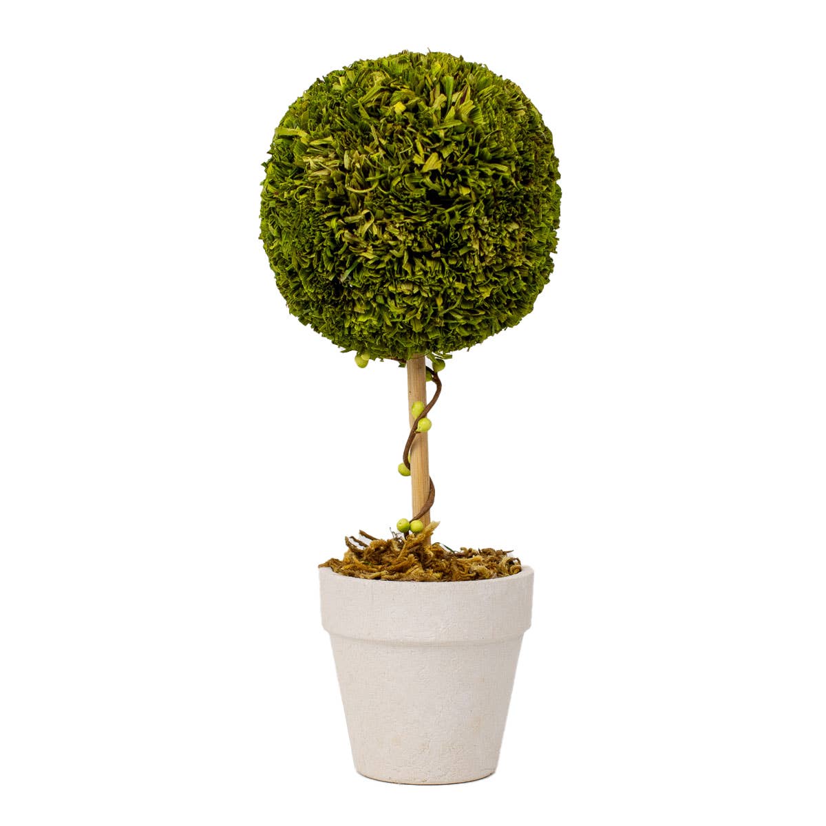 Boxwood Topiary Green 4x10.25x4