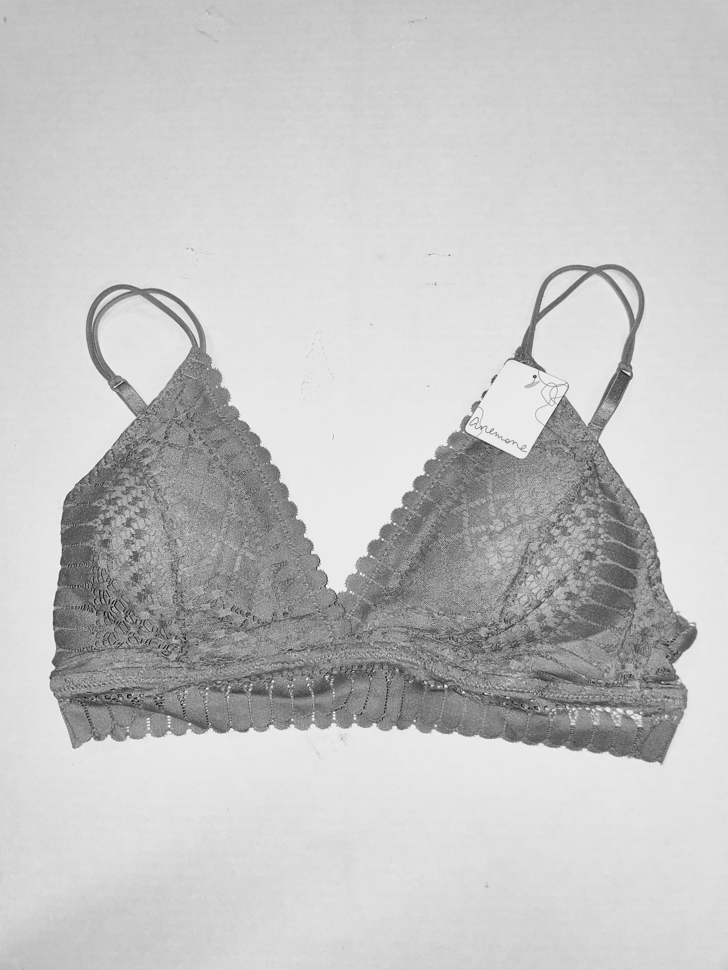 Padded Lace Longline Silhouette Bralette